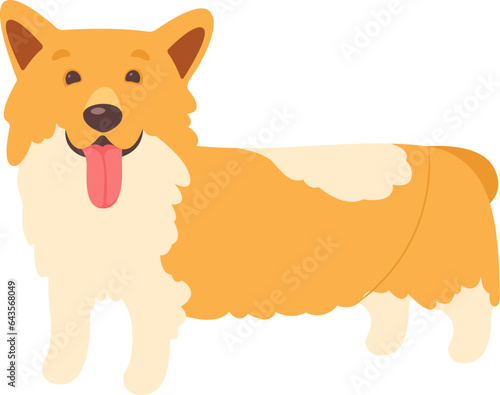 Corgi Dog Pet
