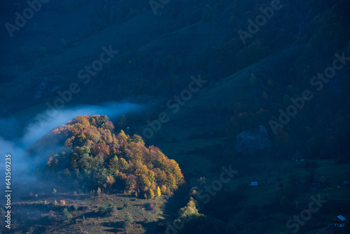 Autumn landscape in the mountains. Colorful forest