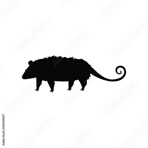 Black silhouette of North American opossum animal, vector illustration isolated.