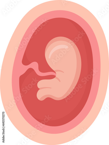 2 Month Human Embryo Inside Womb