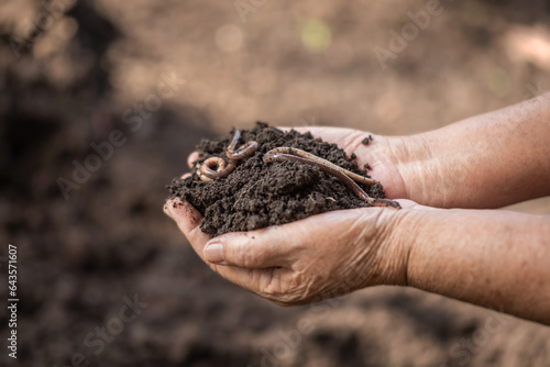 Old woman hand holding worms with soil.Concept of Agriculture, gardening, Save World, Earth day and Hands ecology environment
