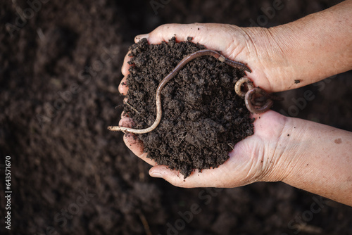 Old woman hand holding worms with soil.Concept of Agriculture, gardening, Save World, Earth day and Hands ecology environment