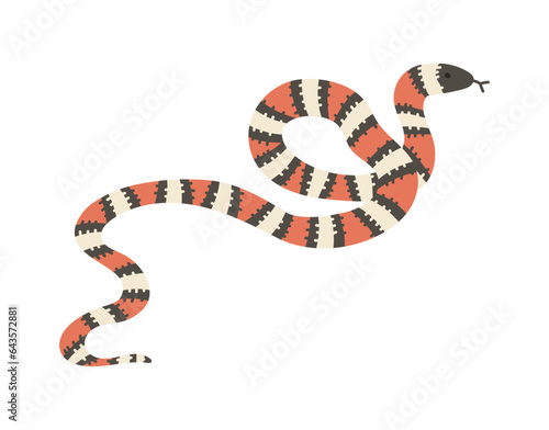 Milk snake, flat vector illustration isolated on white background.
