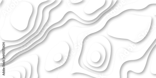 Seamless abstract white papercutbackground 3d realistic design use for ads banner and advertising print design vector. 3d topography relief. Vector topographic illustration. photo