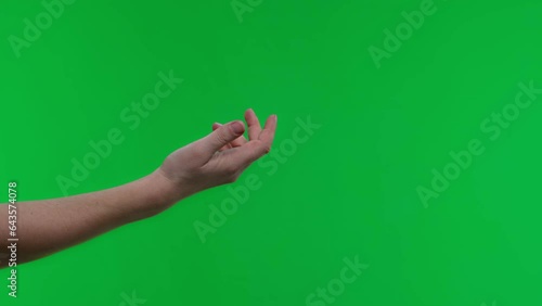 Side view of female hand on green screen chroma key background. Woman stretching out and holding empty open palm hand. Close up, 4k footage