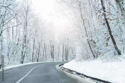 Winter landscape with snow-covered trees and road