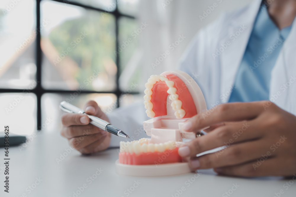Female dentist with dentures for explaining teeth, recommending