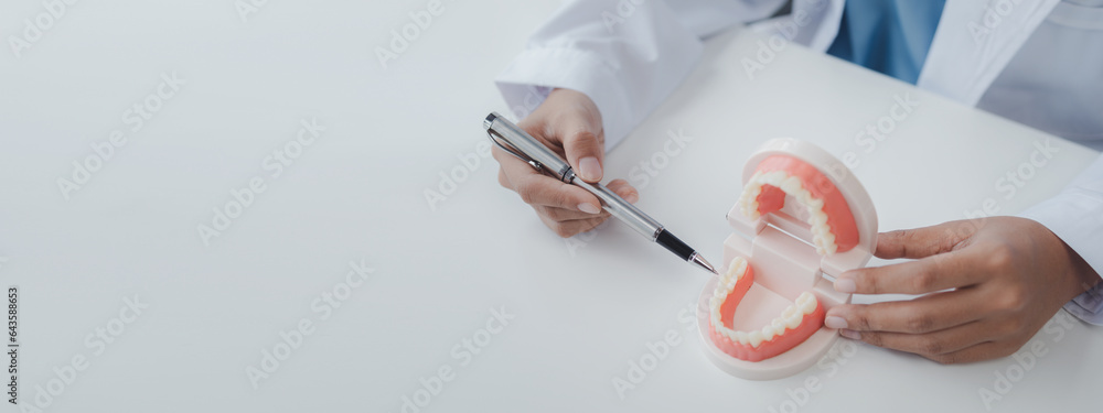 Female dentist with dentures for explaining teeth, recommending
