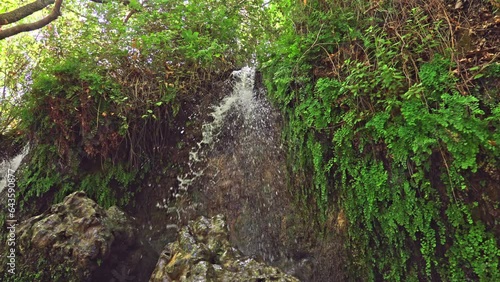 Streams in northern the Israel Hasbani River one of the source of the Jordan River photo