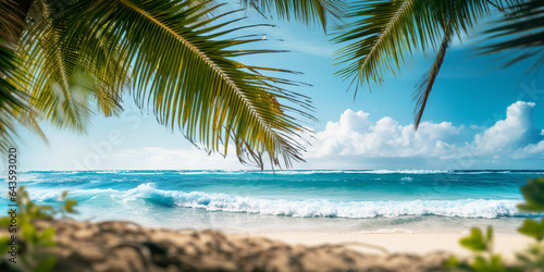 Tropical beach panorama view  coastline with palms  Caribbean sea in sunny day  summer time  Tropical seascape with Palm trees. Background of summer beach  white sand coastline.