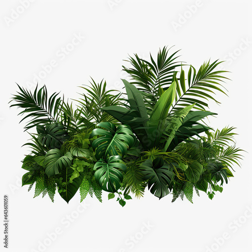 tropical leaves and Fern plant hedge isolated on a transparent background. Lush green leaves bush. © Ziyan Yang