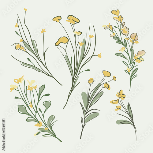 Spring flowers yellow set on green background. Wildflowers collection. Floral minimal design. Botanical vector illustration.  © DOROTHEA