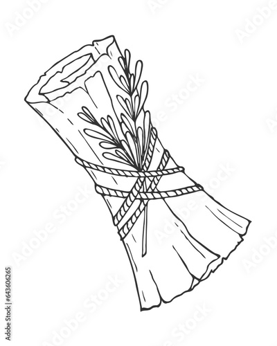 Scroll with branch of rosemary tied with rope, witchcraft, conspiracies, spells, halloween attribute, hand drawn doodle, scroll with torn edge texture. Vector illustration