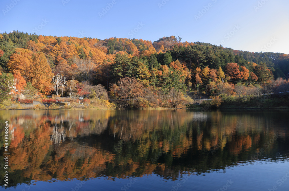 湖面に映る美鈴湖の紅葉