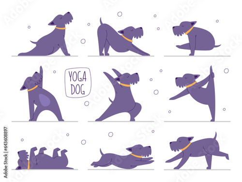 Yoga dog pet set, cute domestic animal doing fitness exercise body training vector illustration