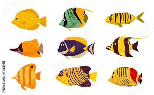 Cartoon tropical fish. Aquarium or wild underwater fish. Oceanic colorful marine fauna flat vector illustration set. Saltwater fish collection