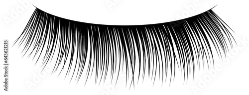 Fotografie Realistic fake eyelashes. Black mascara. Sexy woman look