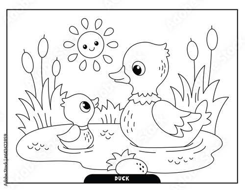 Duck coloring pages for kids