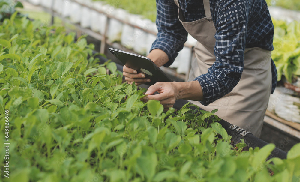 In the Industrial Greenhouse Two Agricultural Engineers Test Plants Health and Analyze Data with Tablet Computer.
