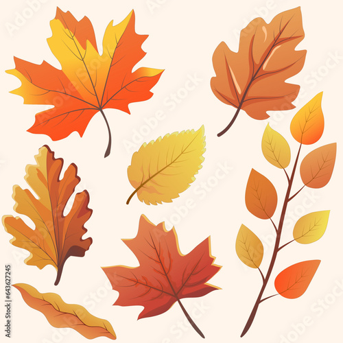 Set of colorful autumn leaves. Vector illustration.