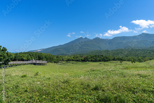 知床五湖 高架道