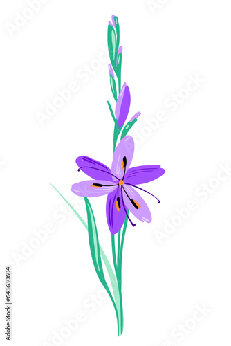 Beautiful lilac color gladiolus like flower composition. Vector simple bright color botanical group for decoration. Floral element.