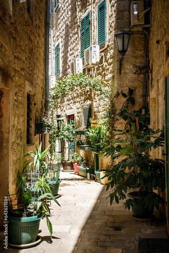 Fototapeta Naklejka Na Ścianę i Meble -  Cozy narrow street with plants in pots in the old town of Kotor