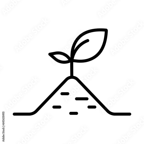 growing plant