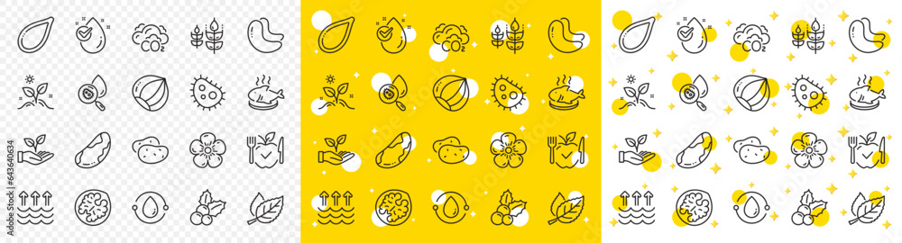 Φωτογραφία Outline Cold-pressed oil, Natural linen and Hazelnut line icons pack for web with Cashew nut, Brazil nut, Vegetarian food line icon