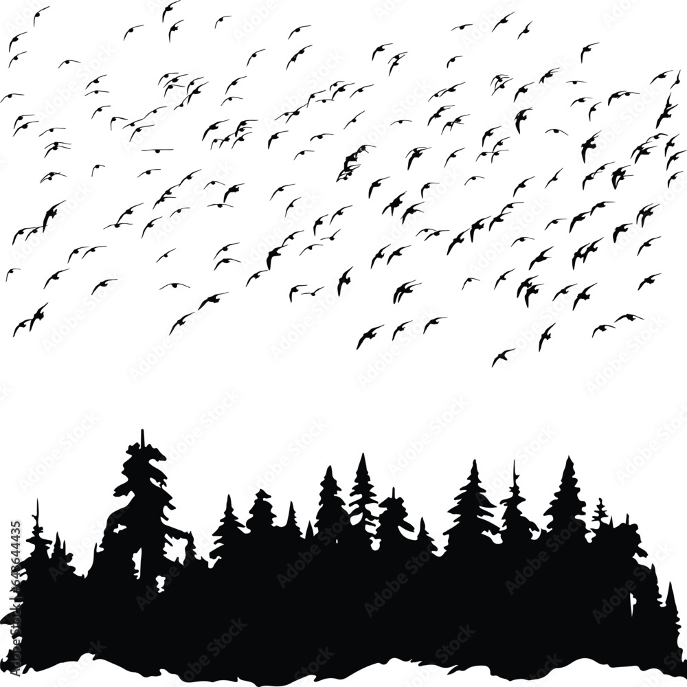 forest and flying birds silhouette