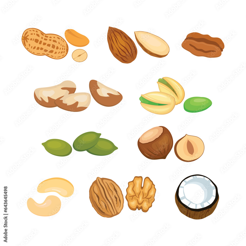 Different types of nuts icon set vector. Nuts and seeds icon set isolated on white background. Peanut, almond, pecan, brazil nut, pistachio, pumpkin seed, hazelnut, cashew, walnut, coconut icons