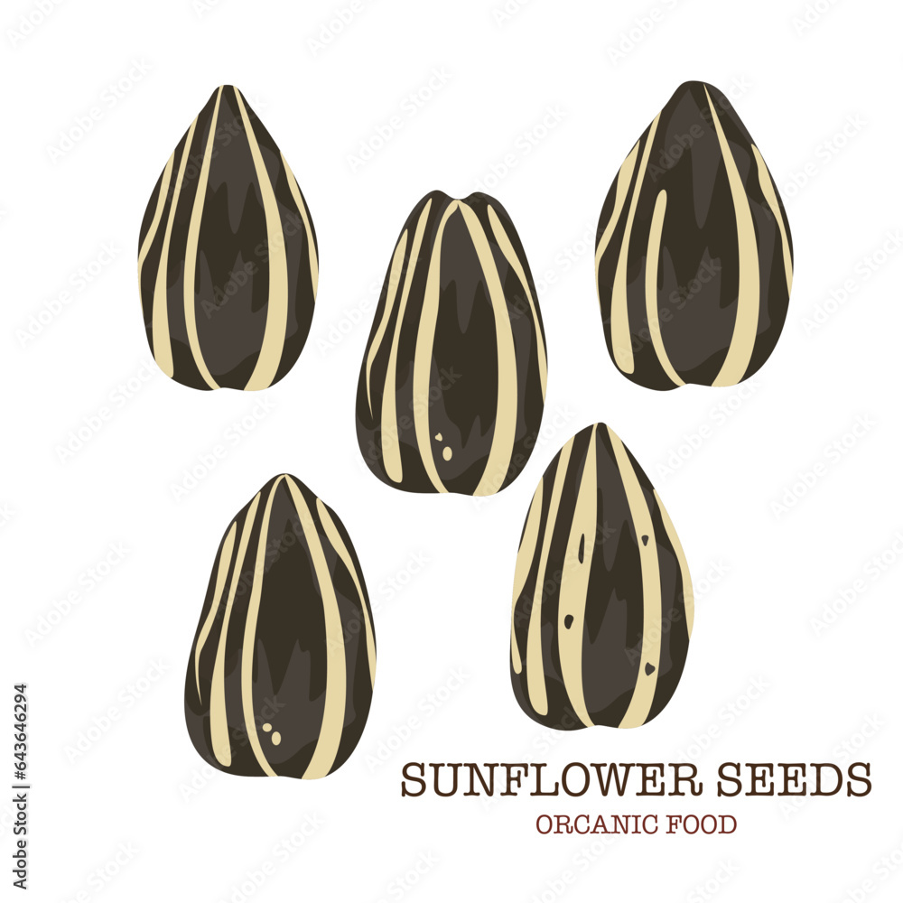 Fototapeta premium Sunflower seeds Many seeds in cartoon style for banner templates, packages, and farmers market design symbols with text isolated on a white background.