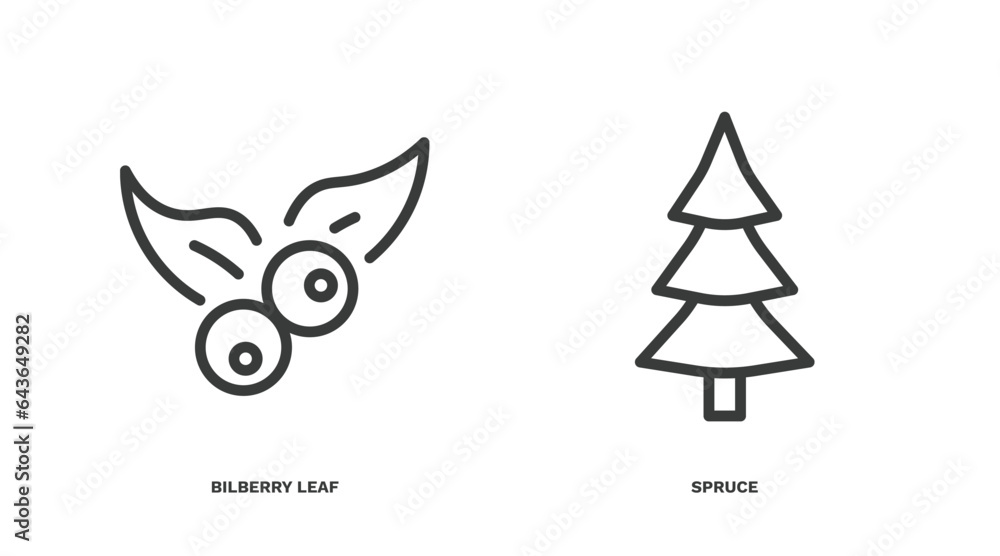 Obraz premium set of nature thin line icons. nature outline icons included bilberry leaf, spruce vector.