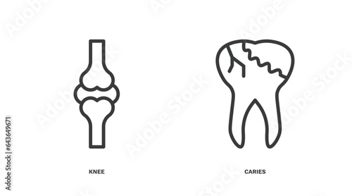 set of medical thin line icons. medical outline icons included knee, caries vector.