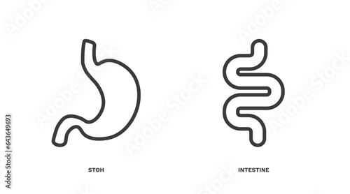 set of medical thin line icons. medical outline icons included stoh, intestine vector.