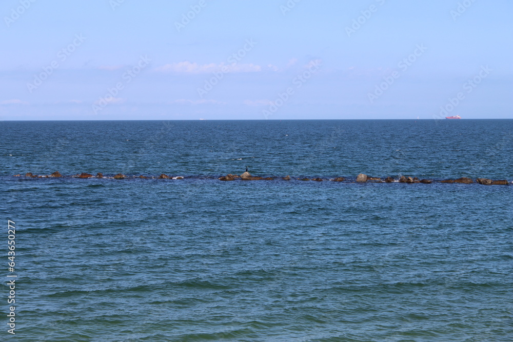Cormorant on rocks in the Baltic Sea off Sellin on the island of Rügen