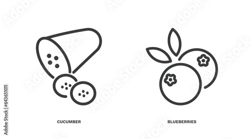 set of vegetables and fruits thin line icons. vegetables and fruits outline icons included cucumber  blueberries vector.