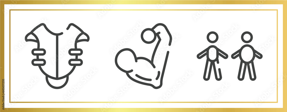 sport fitness outline icons set. linear icons sheet included chest protection, muscular, body mass index vector.