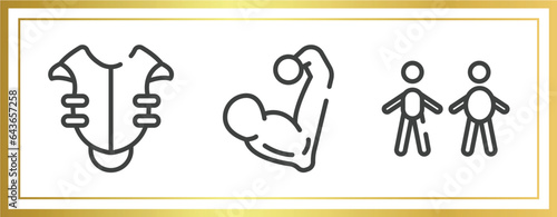 sport fitness outline icons set. linear icons sheet included chest protection, muscular, body mass index vector.