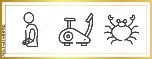 allergies outline icons set. linear icons sheet included injury, stationary bike, seafood vector.