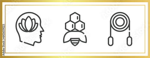 alternative medicine outline icons set. linear icons sheet included peace of mind, apitherapy, jumping rope vector.