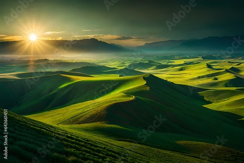 field and blue sky