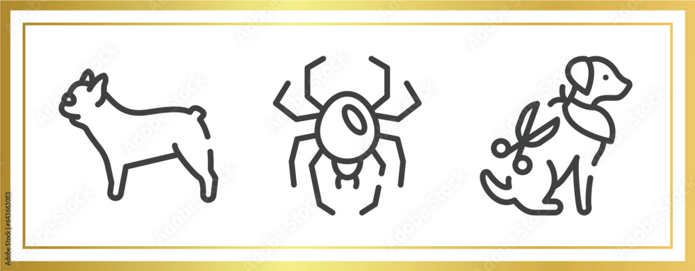 pet lovers outline icons set. linear icons sheet included french bulldog, spider black widow, grooming pet vector.