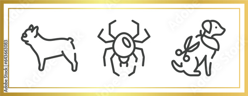 pet lovers outline icons set. linear icons sheet included french bulldog, spider black widow, grooming pet vector.