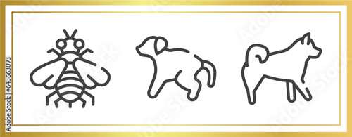 dog breeds fullbody outline icons set. linear icons sheet included bumblebee, scold the dog, malamute vector.