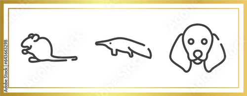 woof woof outline icons set. linear icons sheet included sitting mouse, sitting anteater, dog with floppy ears vector.