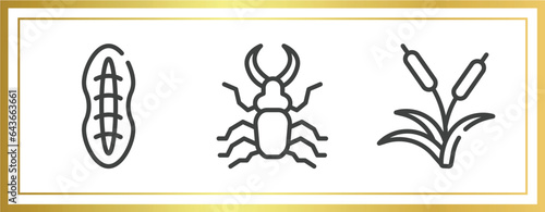 nature outline icons set. linear icons sheet included plankton, stag beetle, reeds vector.
