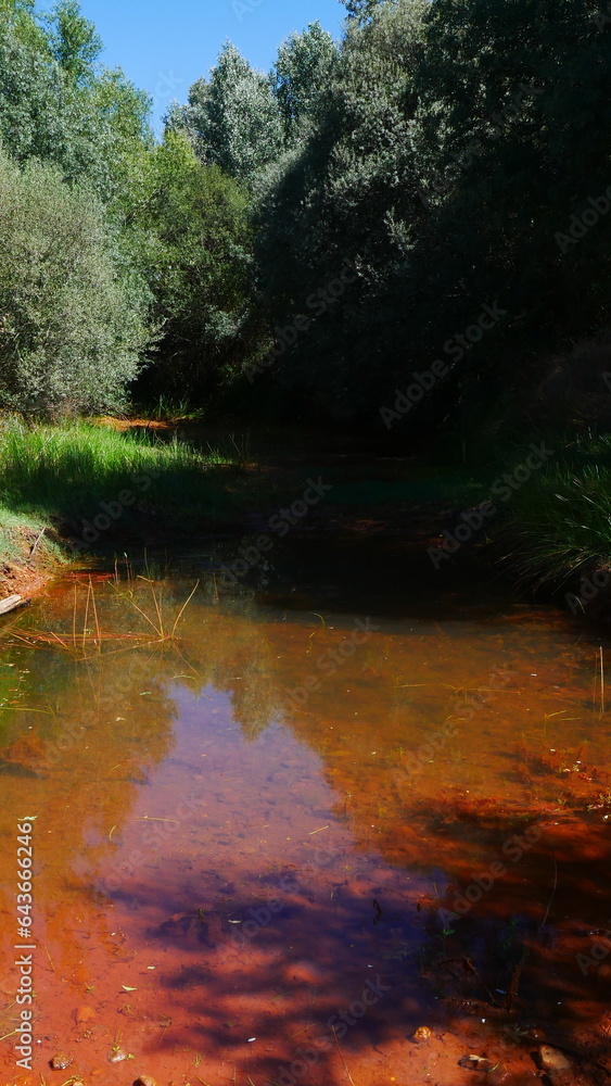 Ruisseau d'eau fond brun, eau limpide, propre et transparent, en pleine ...