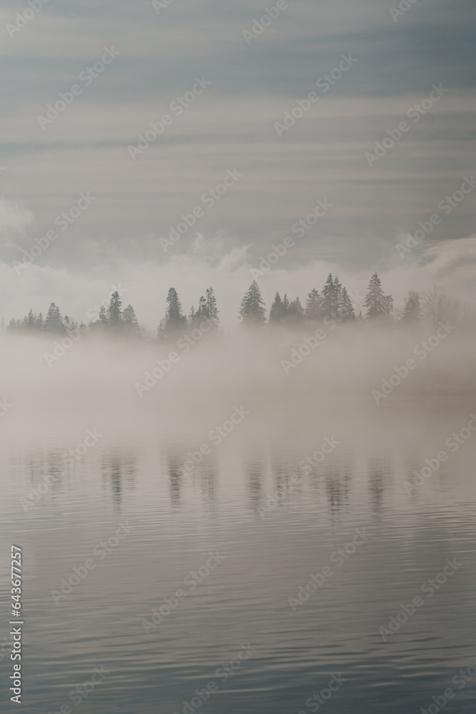 Fototapeta premium Softly reflecting trees dance in the water during sunrise