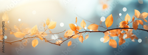 Colourful autumn ultra wide panoramic defocused background with leafs, brunches, mock up, backdrop, red, orange, blue, yellow.